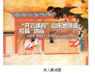 “开云体育”山东地磅遥控器-供应(图2) 开云体育