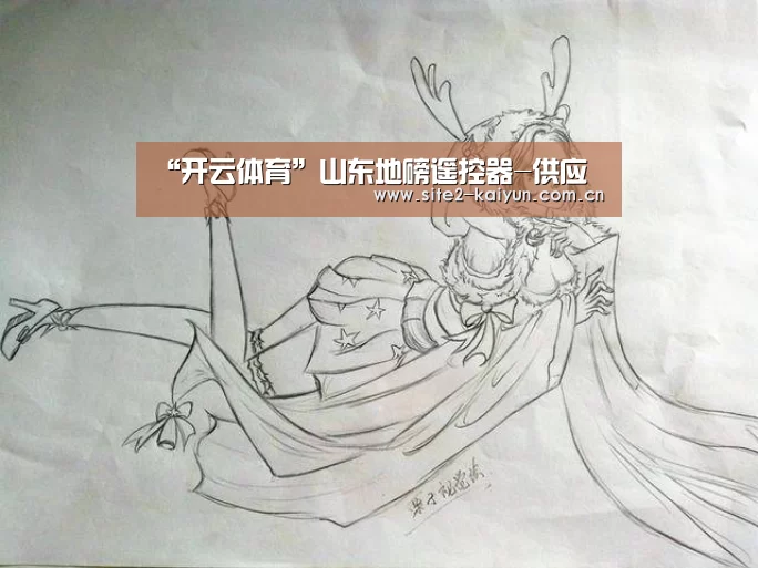 “开云体育”山东地磅遥控器-供应(图1) 开云体育