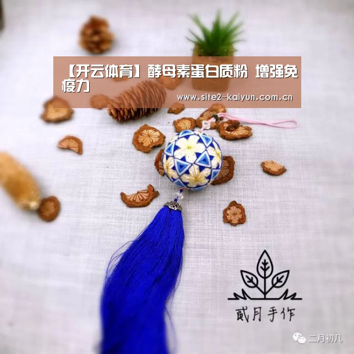 【开云体育】酵母素蛋白质粉 增强免疫力(图1) 开云体育