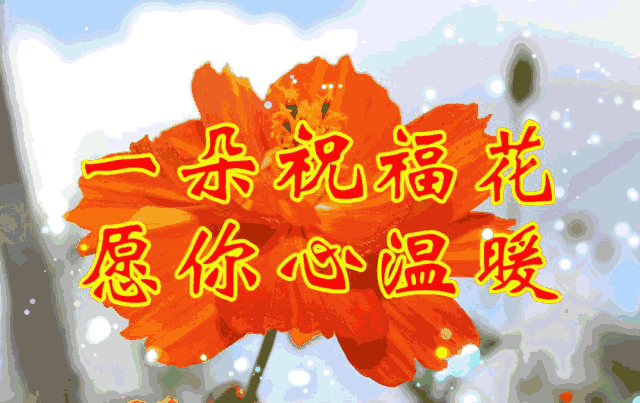 女大学生跑步时突然猝死 同学称为减肥很少吃饭【开云体育】(图1) 开云体育