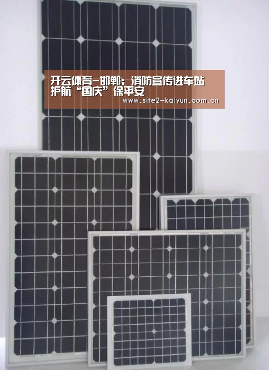 开云体育-邯郸:消防宣传进车站 护航“国庆”保平安(图3) 开云体育